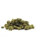 OG_KUSH_POPCORN_001.webp