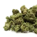 OG_MINT_POPCORN_002.webp