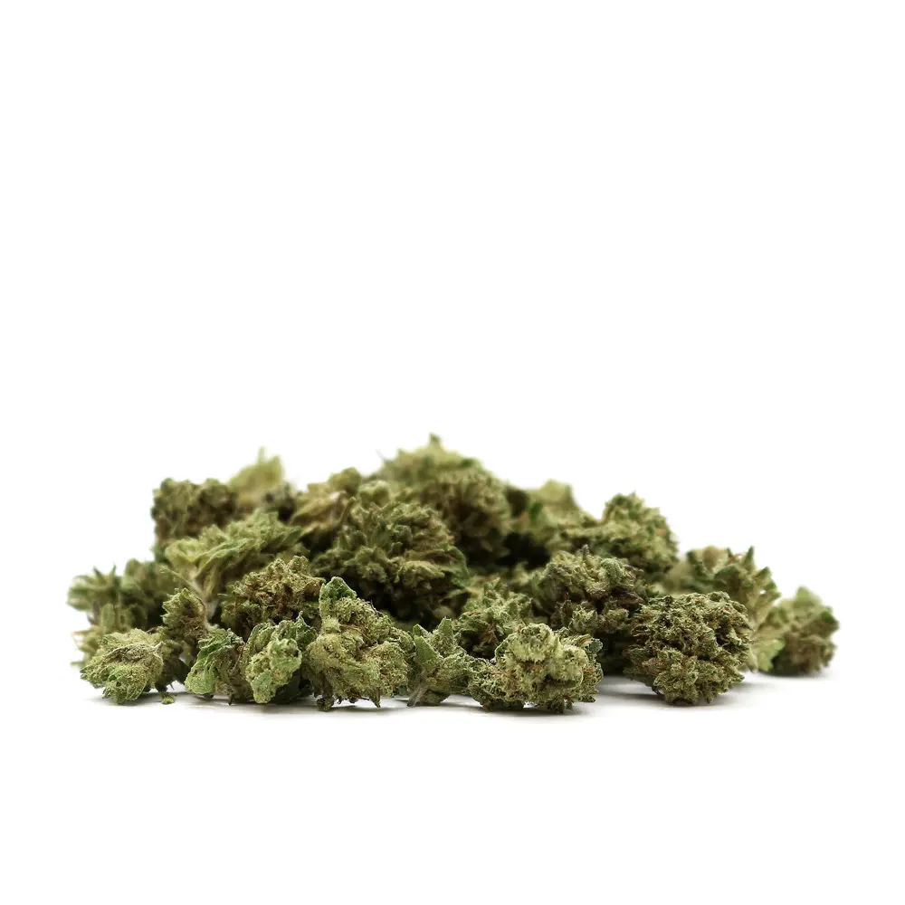OG_MINT_POPCORN_001.webp