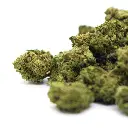 WHITE_WIDOW_POPCORN_002.webp