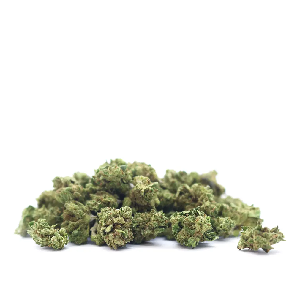 ZKITTLEZ_POPCORN_001.webp