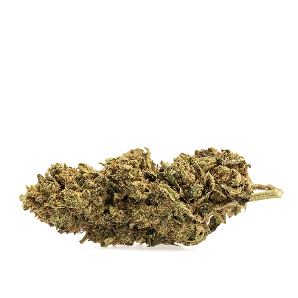 Lemon Kush BULK