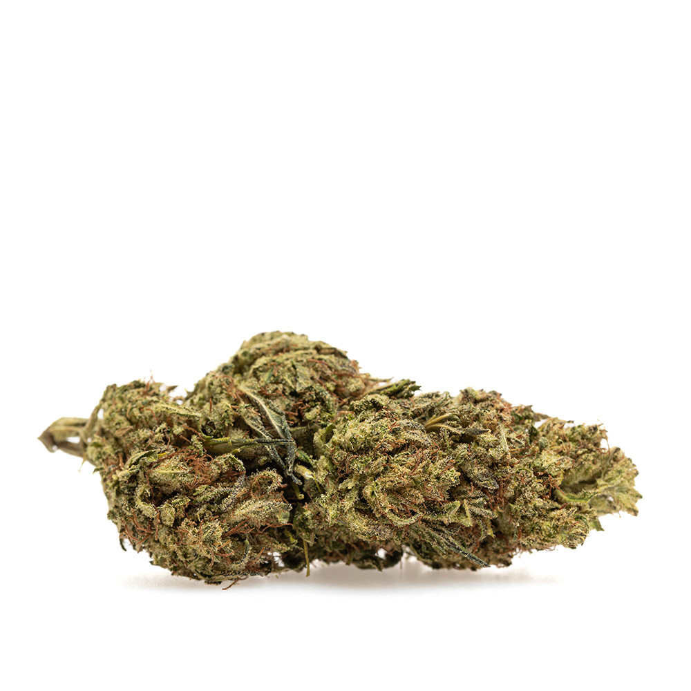 Lemon Zest BULK