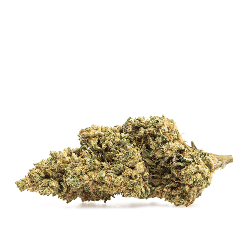 GMO BULK