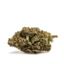 Super Lemon Haze THX BULK