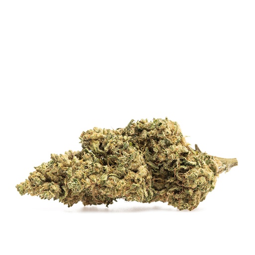 GMO BULK