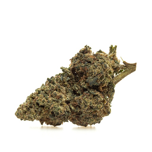 Kaligram THX BULK