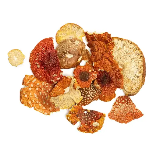 Champignons - Amanita Muscaria (Shroomz) BULK